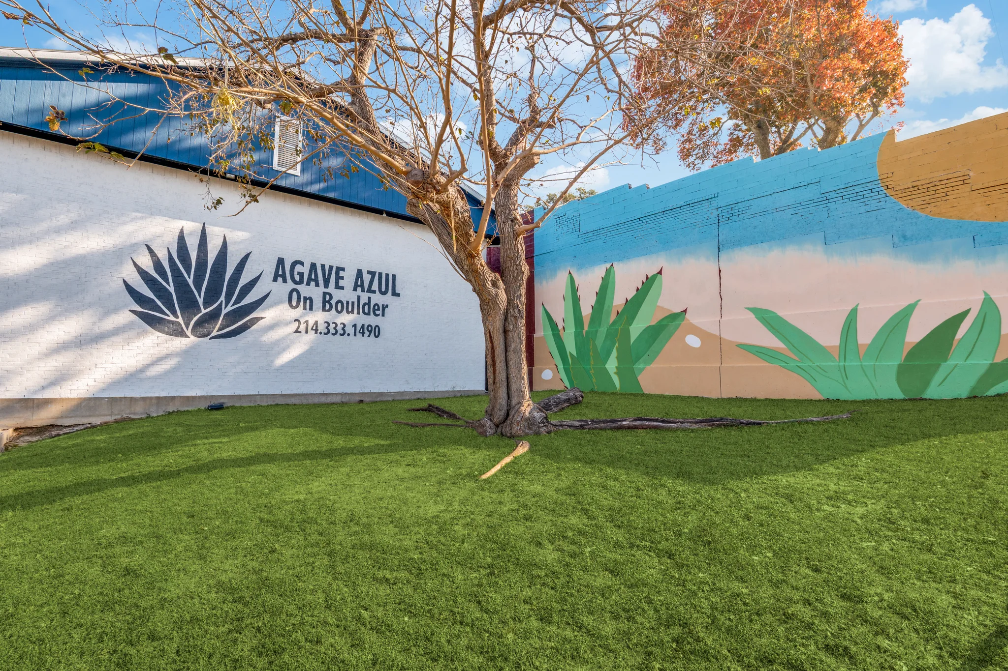 The corner where the painted wordmark wall meets the agave mural, with a bare tree on the lawn.