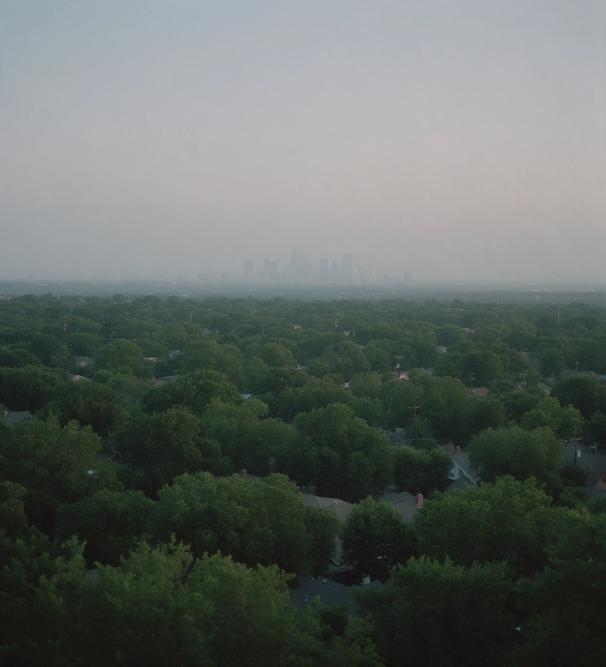 Mature tree canopy and low rooftops across southwest Dallas, the downtown skyline faint on the horizon.