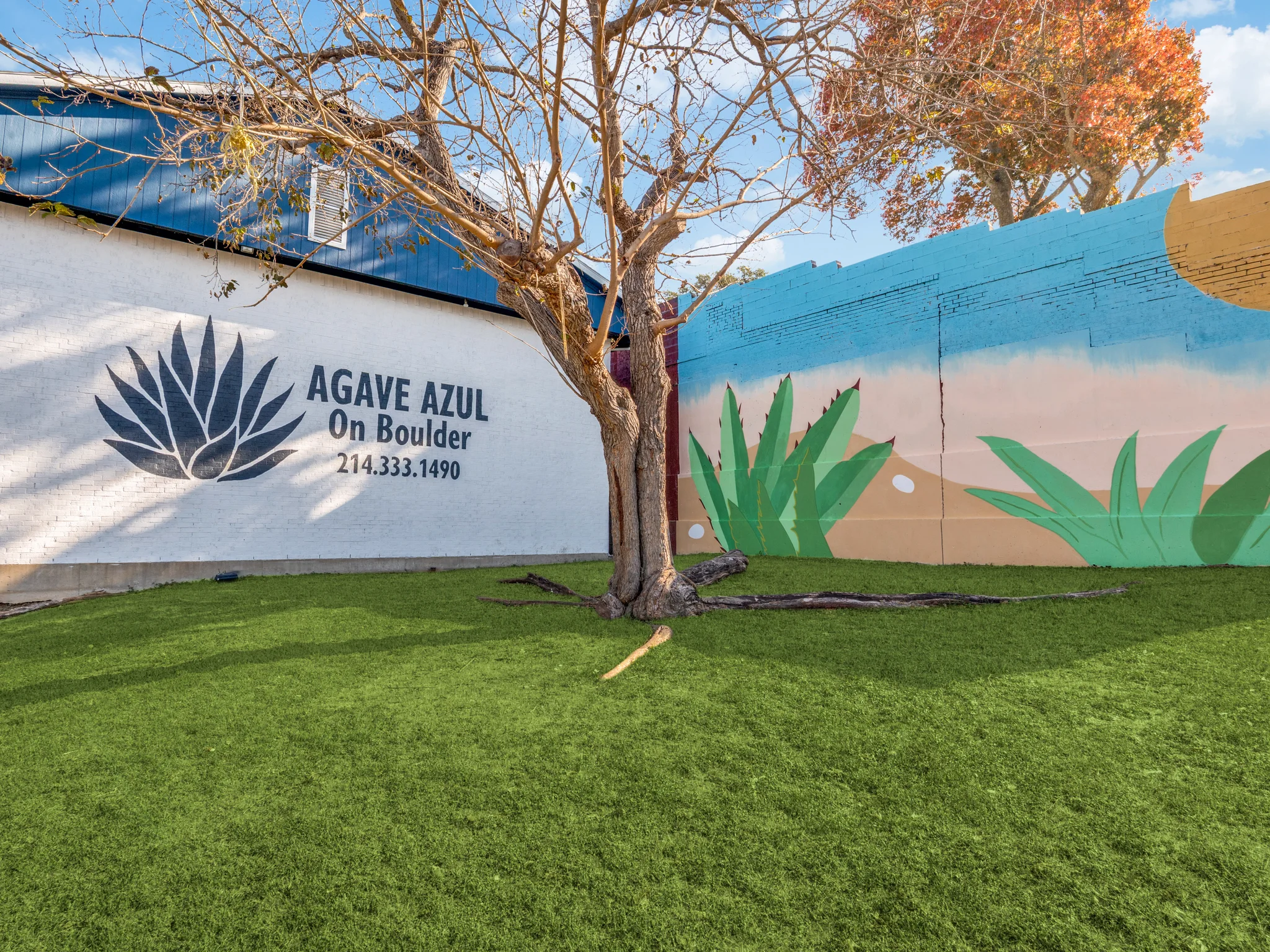 The lawn at the foot of the painted wall.